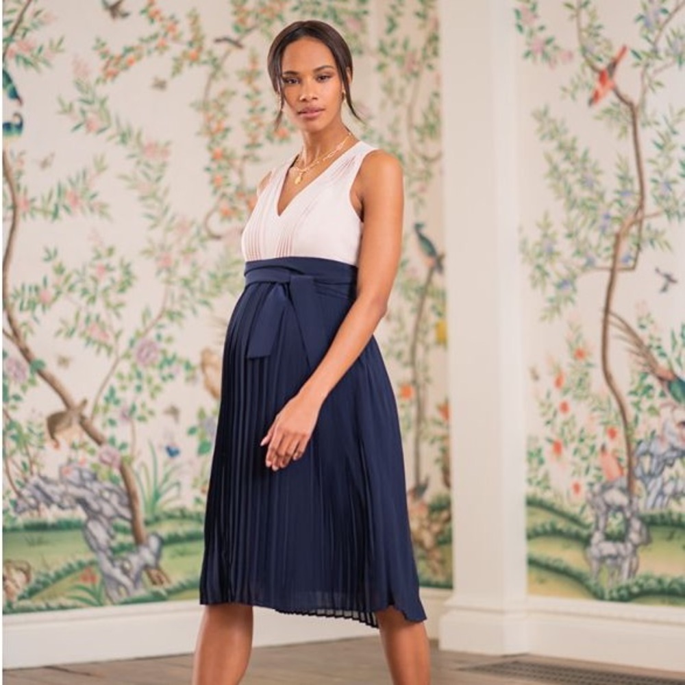 Seraphine Maternity and Nursing Dress size 4